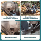 Taupe Royal - IMP02783