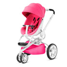Pink Passion