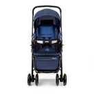 Azul Rajado - IMP01731