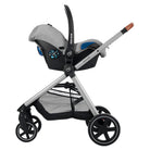 Nomad Grey