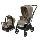 Twillic Truffle - CAX01027