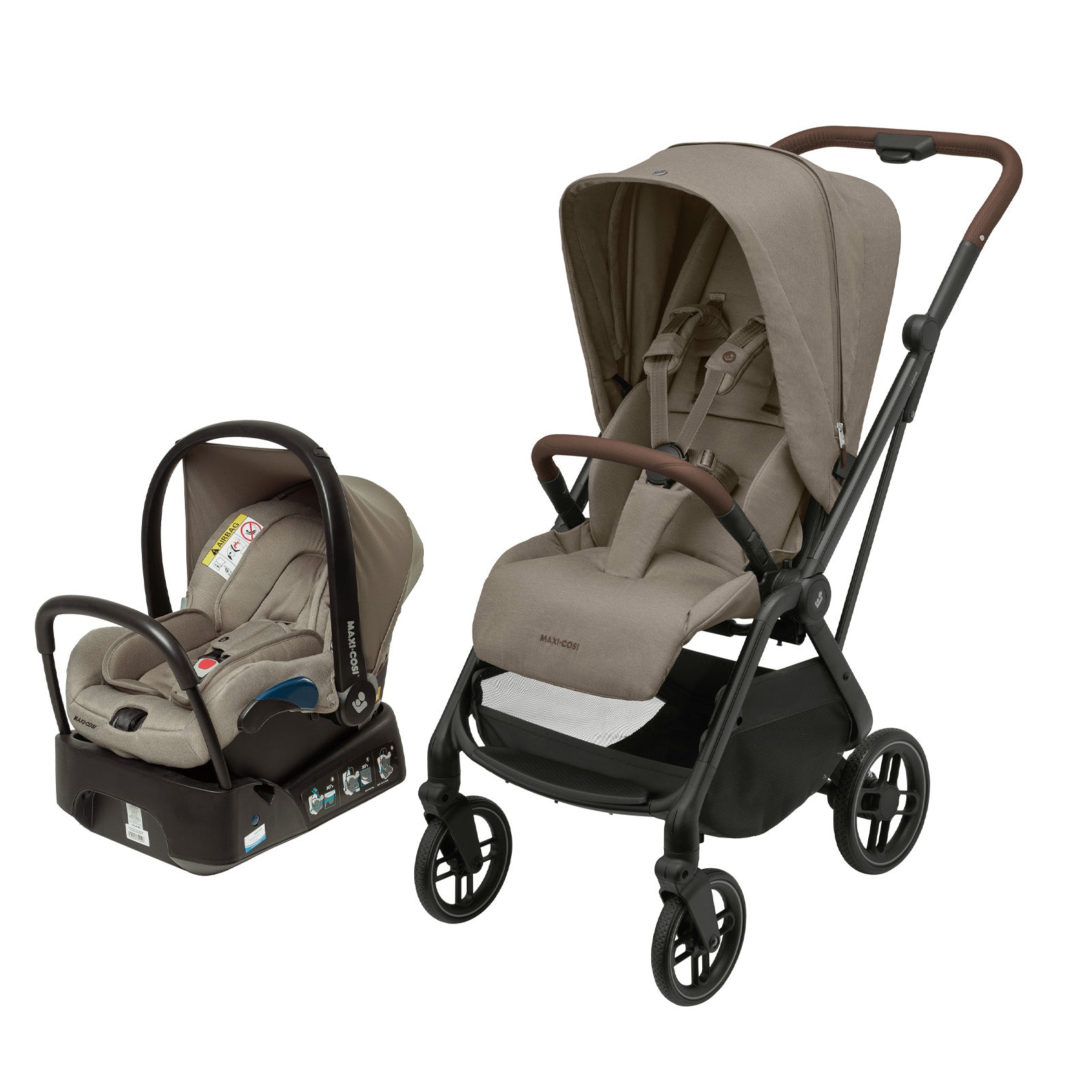 Twillic Truffle - CAX01027