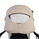 Taupe Royal - CAX01050
