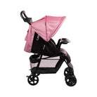 Rosa Geo - IMP01767