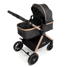 Preto Bronze - IMP02450