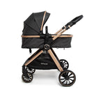 Preto Bronze - IMP02450