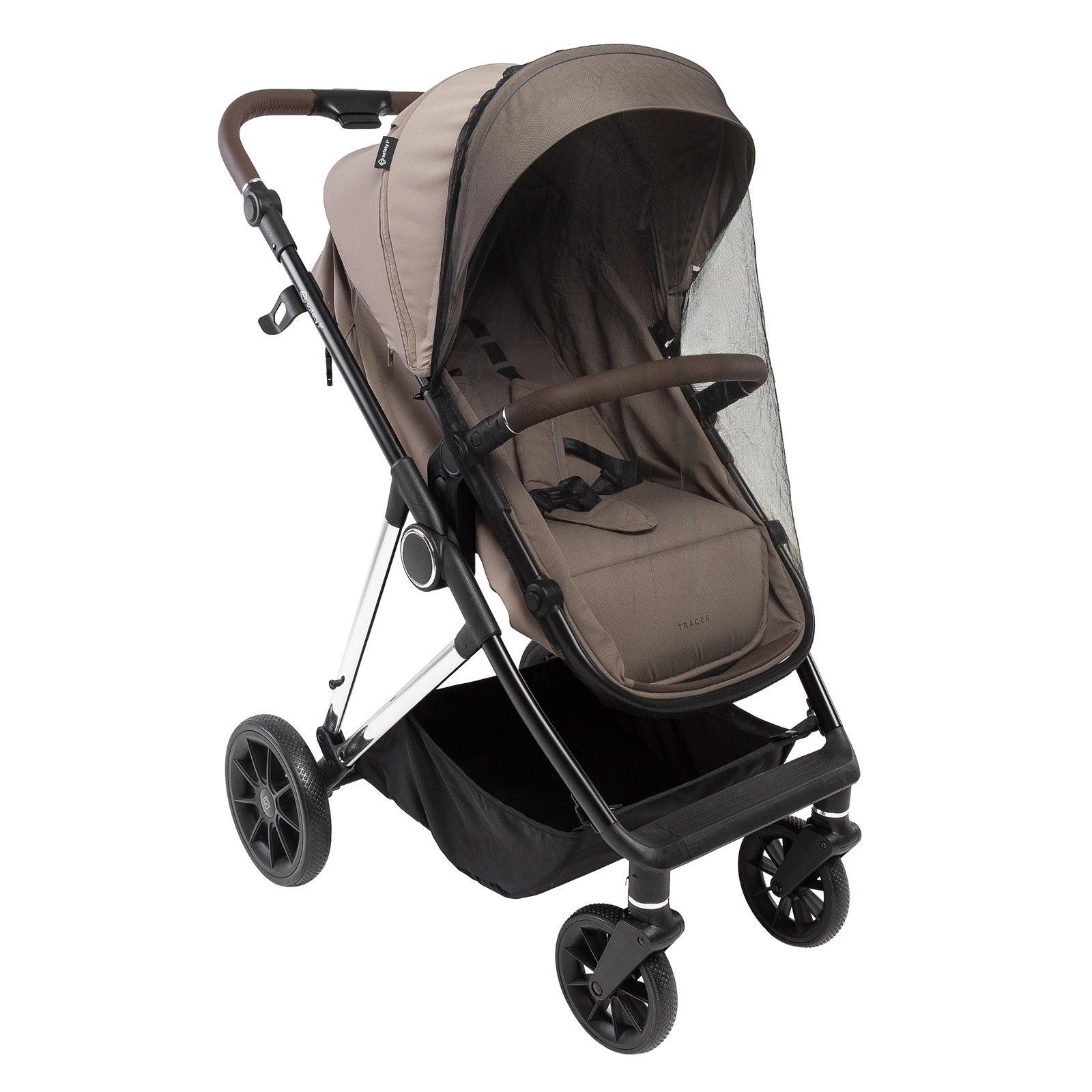 Taupe Royal - CAX01050