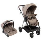 Taupe Royal - CAX01050
