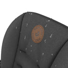 Essential Graphite