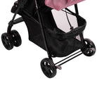 Rosa Geo - IMP01767