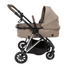 Taupe Royal - IMP02783